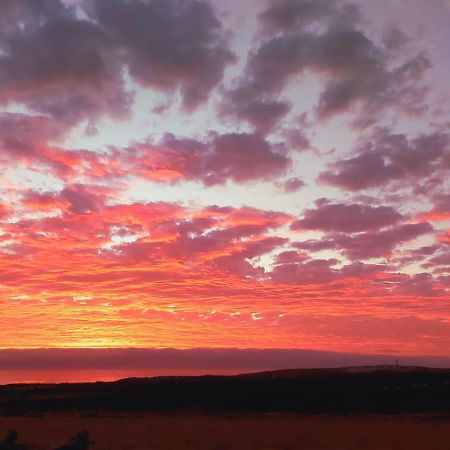 Honne-Pondokkies Hondeklipbaai エクステリア 写真
